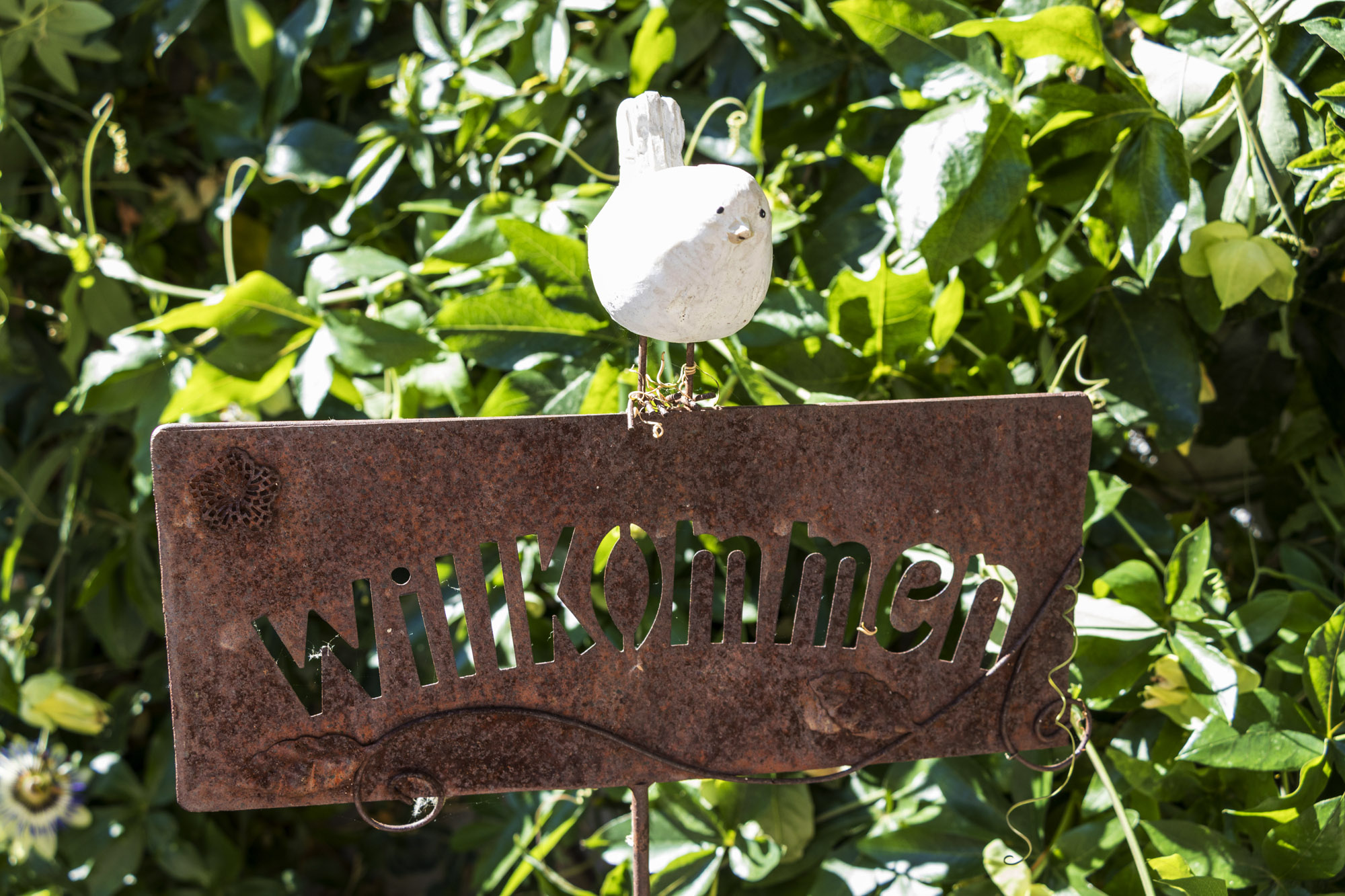 Willkommen im Grünen
